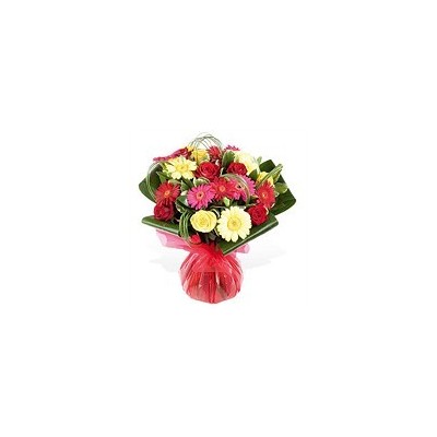 Festival Flowers