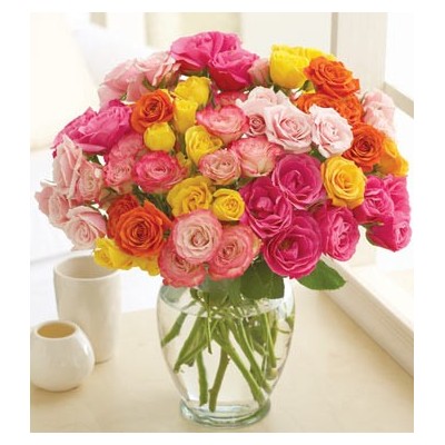 Fresh spray roses