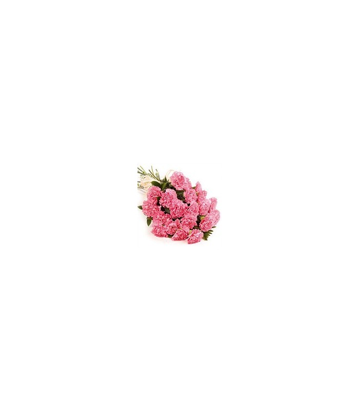 Simply Carnations Simply Carnations
