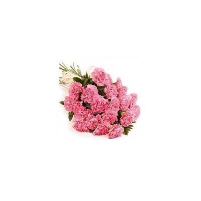 Simply Carnations