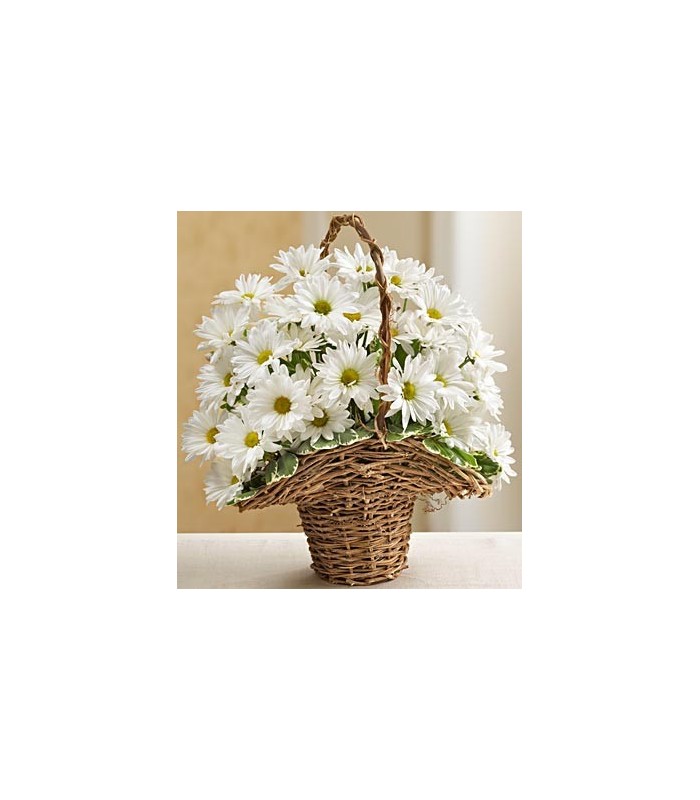 Basket Full of Daisies Basket Full of Daisies