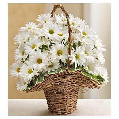  Basket Full of Daisies