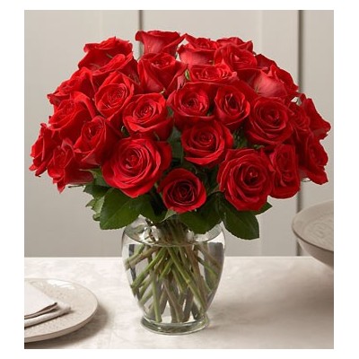 Ultimate Elegance Premium Long Stem Red Roses