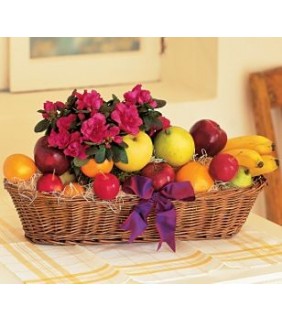 Plant and Fruit Basket