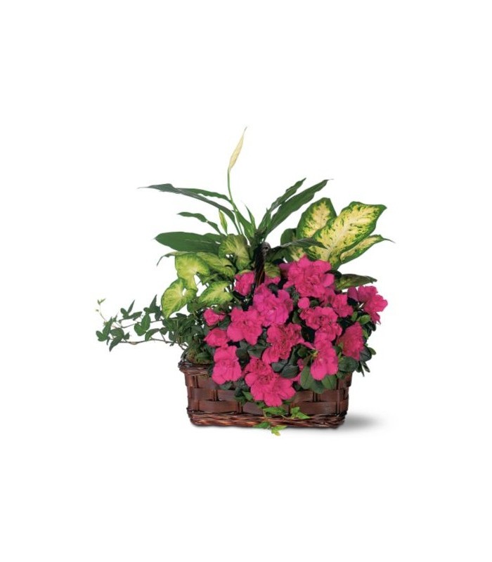 Azalea Attraction Garden Basket