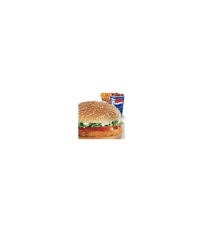 Chicken Burger Combo