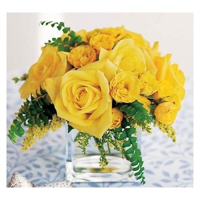 Yellow Rose Bravo
