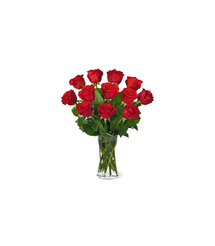 JNS Red Rose Bouquet JNS Red Rose Bouquet